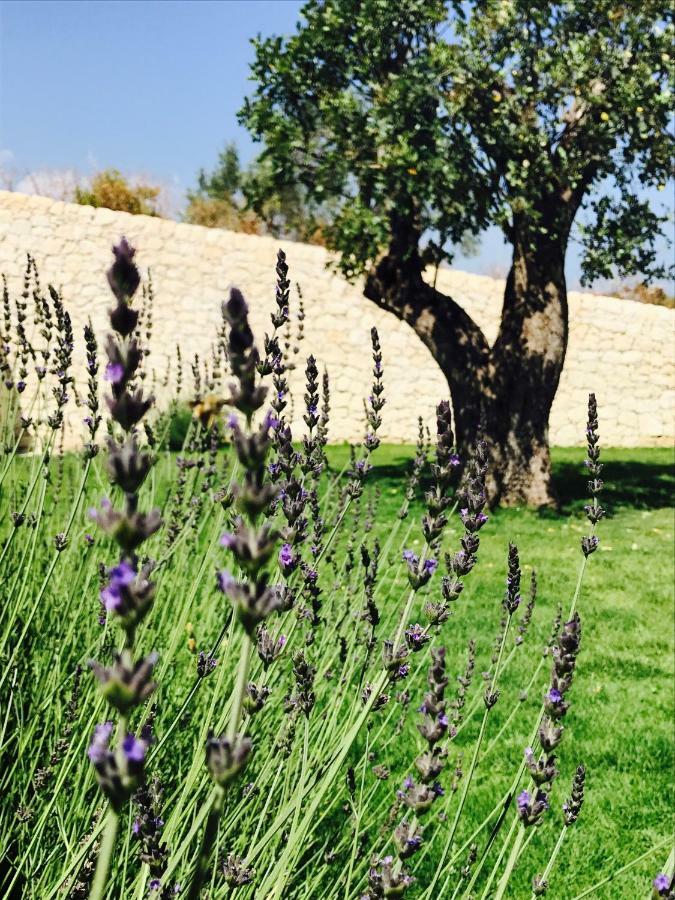 Battimandorlo Otel Noto Dış mekan fotoğraf