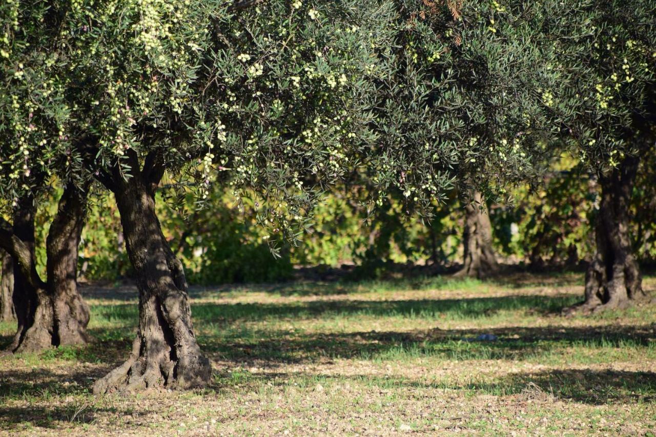 Battimandorlo Otel Noto Dış mekan fotoğraf
